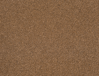 423038_2