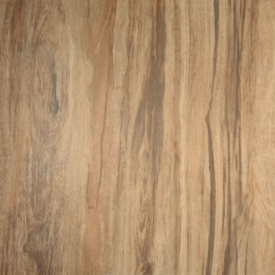 fe0763f82d12f1de75655254691b1dae